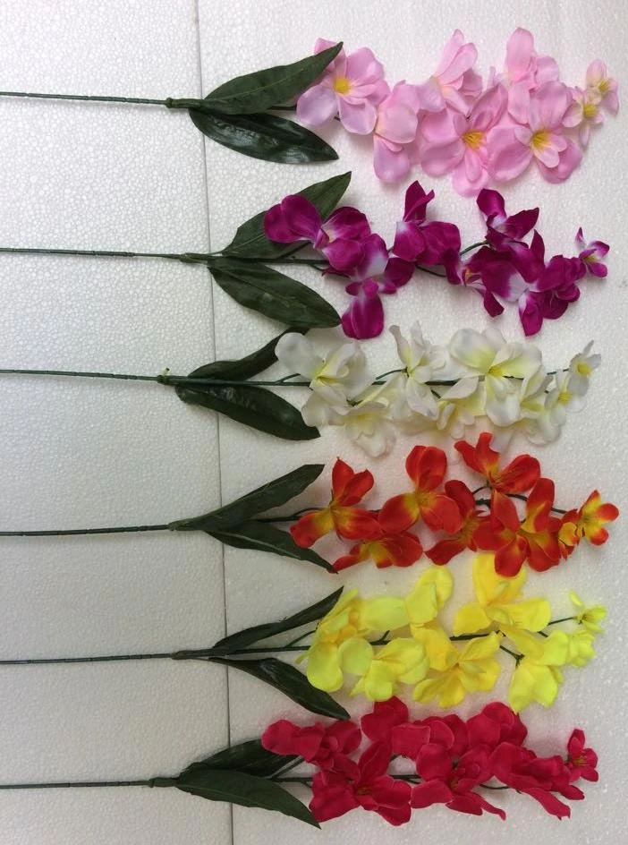 New Sonia Orchid 8 Flower